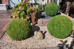 IMG_20200901_154015219_HDR