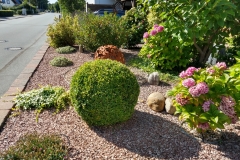 IMG_20200901_154035187_HDR