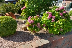 IMG_20200901_154040022_HDR