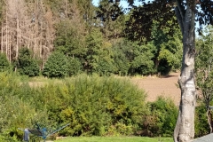 IMG_20200918_135048821_HDR