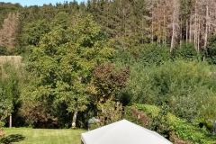 IMG_20200918_135050609_HDR